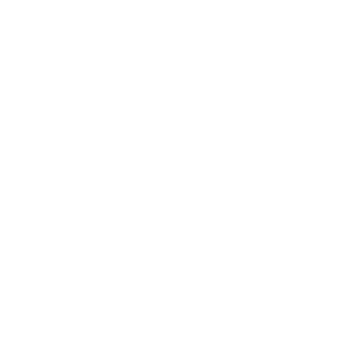 Bouton Déconnexion